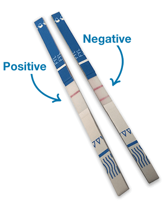 Fentanyl test strips showing example of positive and negative results